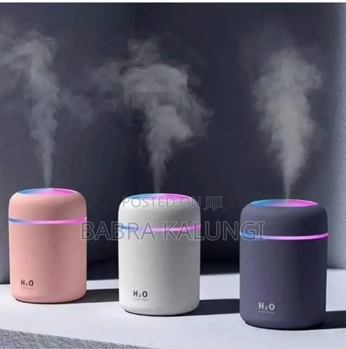 Portable Humidifier