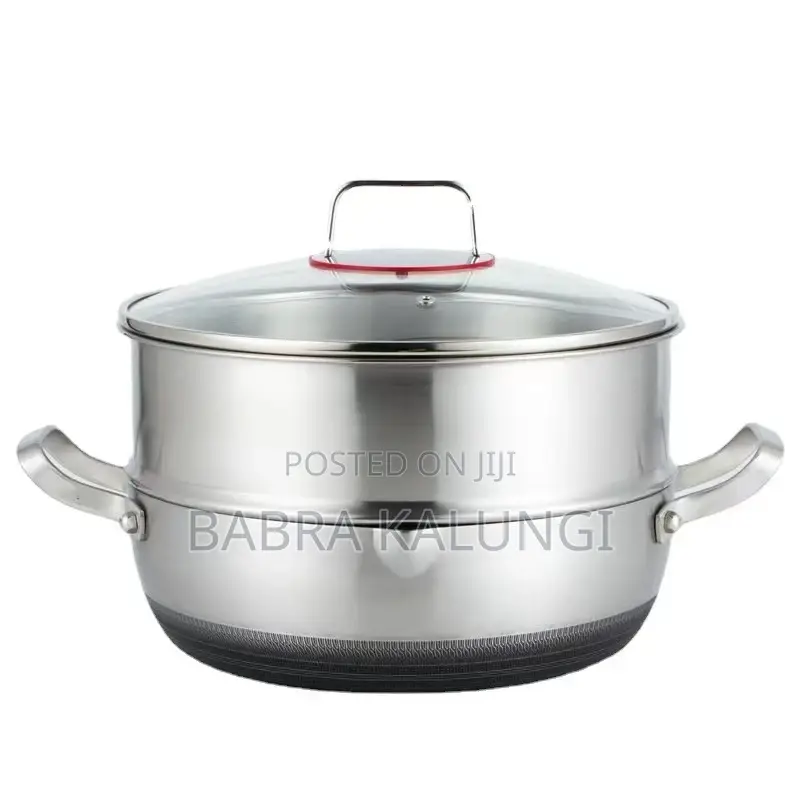 2 Layers Steamer and Cooking Pots