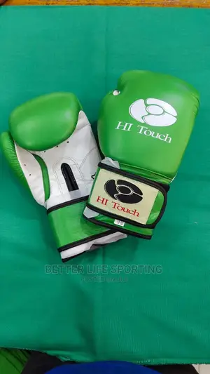 Boxing Gloves Hi Touch Leather