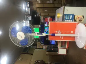 Saachi Fan