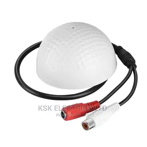 Audio Surveillance Microphone Moitor