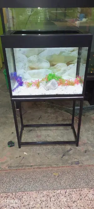 Smaller Size Best Design