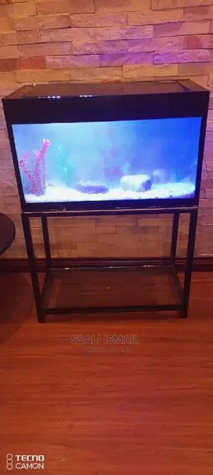 Purely Black and Portable Aquarium
