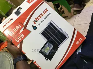 Flood / Security Light