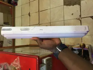 Rechargeable or Emergency Backup Bulbs/Lamps