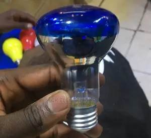 LED/Ordinary/Spot/Heat/Chicken Bulbs/Emergency Bulbs Availab