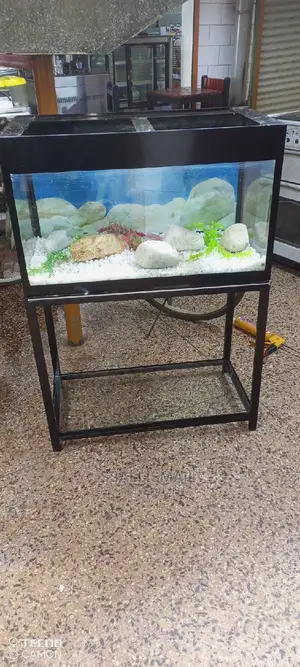 Best Aquarium Best Interior Strong Pump
