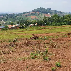 50*100 Plots of Residential Land in Wakiso Kona Ii Estate