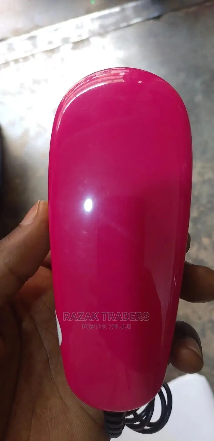 Portable Lint Remover
