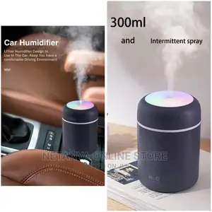 Mini Car Humidifier