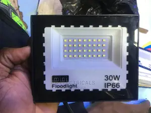 30watts Flood Light