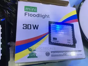 30watts Flood Light