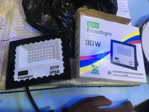 30watts Flood Light