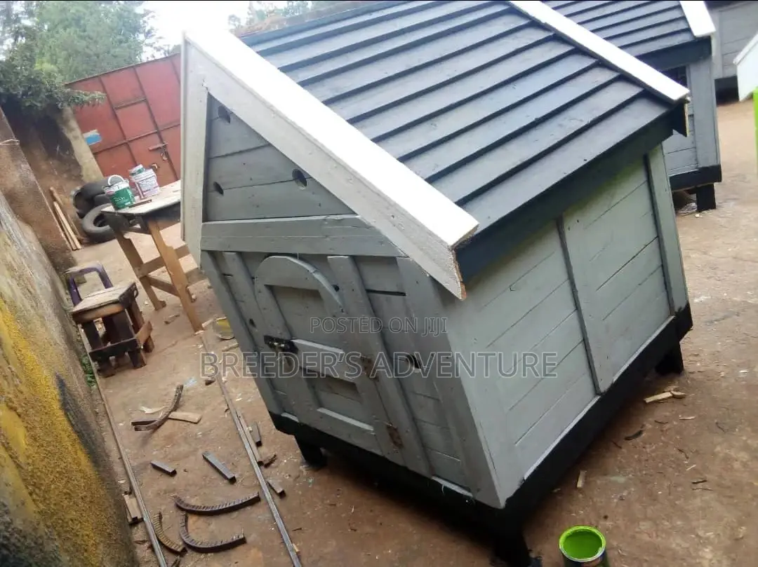 Comfortable Kennels