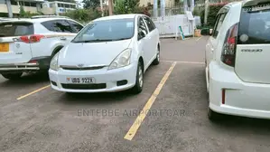 Car Rentals