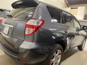 Toyota Vanguard 2009 Gray