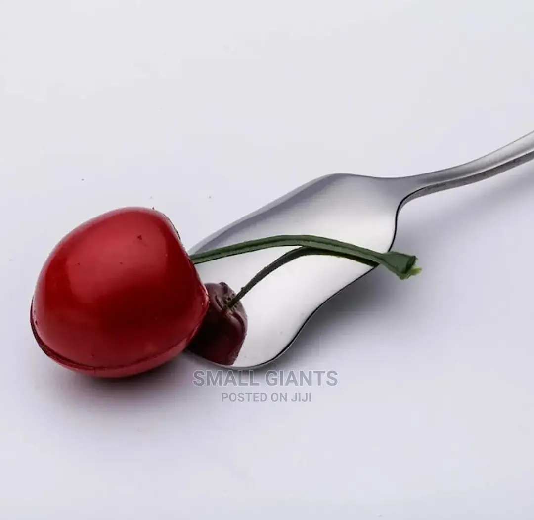 12pcs Stainless Steel Ice Cream, Dessert, Coffee Spoons