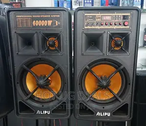 Dual 10" Amplified Public Speaker-Black