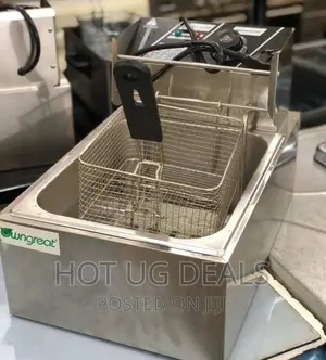 6L Own Great Electric Deep Fryer Machine - Silver