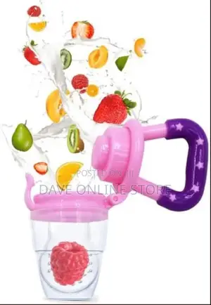 Baby Fresh Fruit Food Feeder Nibbler Pacifier