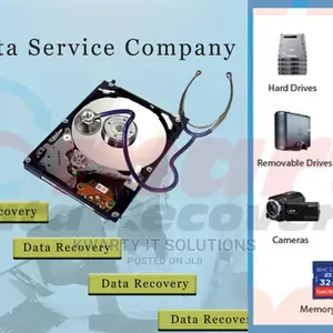 Professional Data Recovery Services