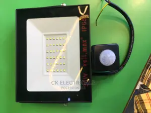Flood Light With Motion Sensors 30watts