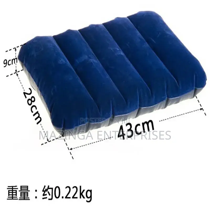 Intex Inflatable Pillows