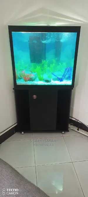 The Medium Size Corner Tank
