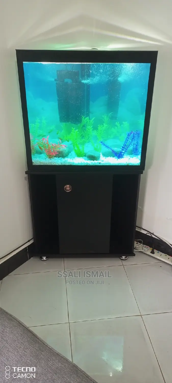 The Medium Size Corner Tank