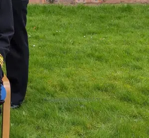 Compound Grass Offer Free Planting