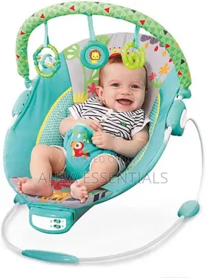 Mastela Vibration and Musical Baby Bouncer Rocker