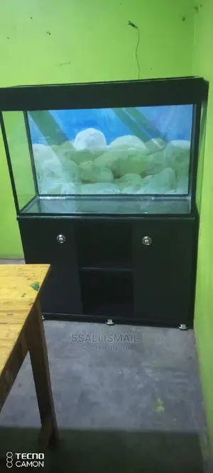 Best Black Aquarium on a Black Durable Stand