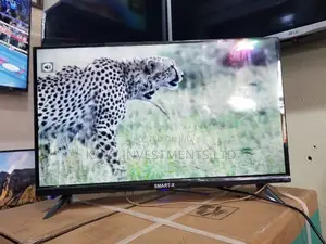 Smart X Frameless 24inches