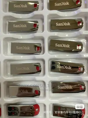 Sandisk Flash Disk 64gb