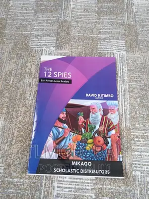 Bible Story Books