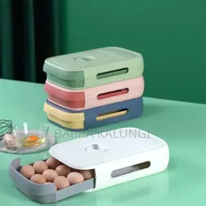 Egg Storage Box