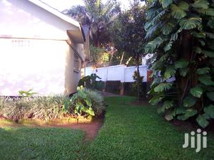Three Bedroom House For Rent