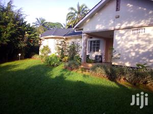Three Bedroom House For Rent