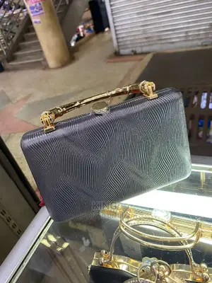 Frame Ladies Bags