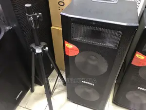 New Cotina Amplified Rechargable Speaker
