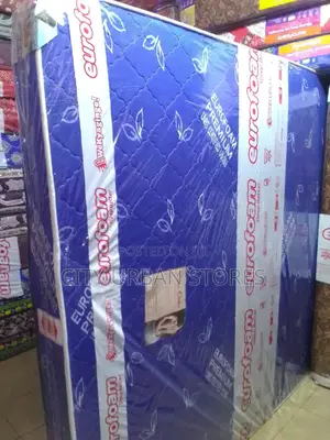 Eurofoam Orthopedic Medical Mattress