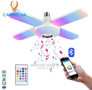 Bluetooth Music Light