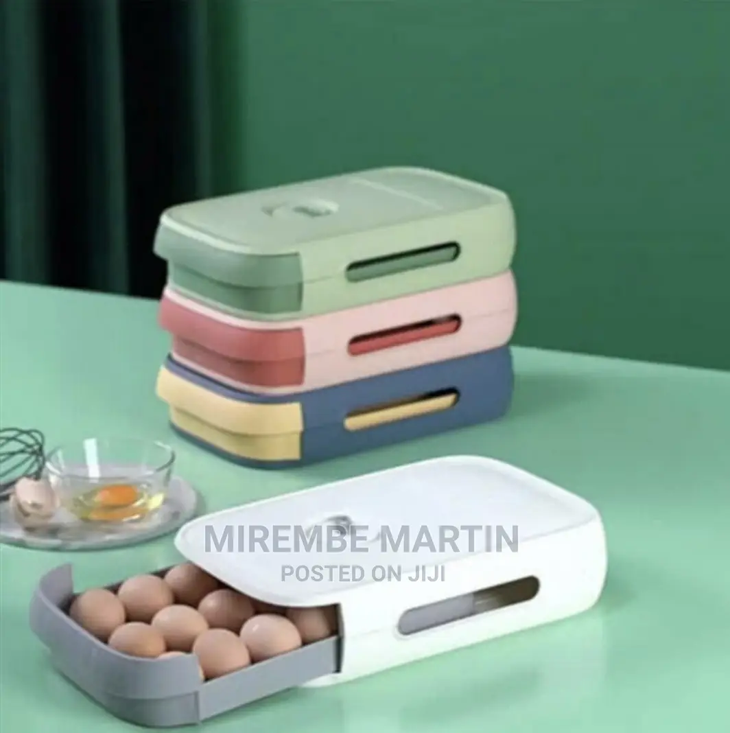 2 Layer Egg Storage Box