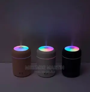 Portable Humidifier