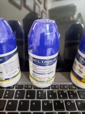 Bedbug Killer