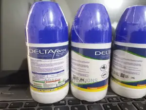Bedbug Killer
