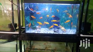 Well Set Complete Aquarium