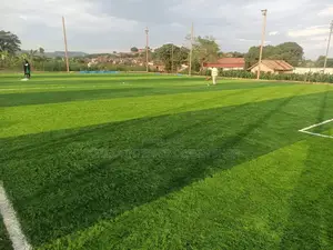Best Playing Ground Bitch Grass Carpet