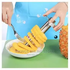 Easy Slice Pineapple Slicer/Peeler and Corer – Silver