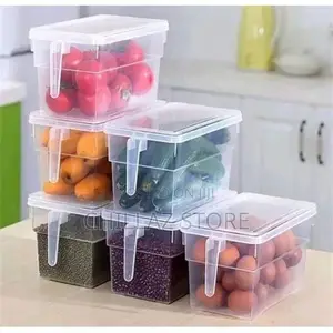 Plastic Fridge Containers (Each).